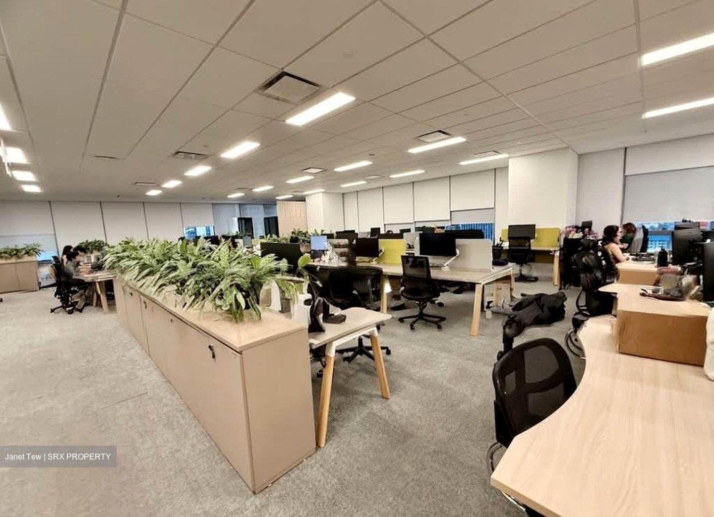 Capitasky (D1), Office #558438781